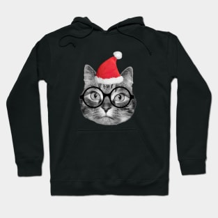 Cute fluffy tabby cat celebrating Christmas Eve Hoodie